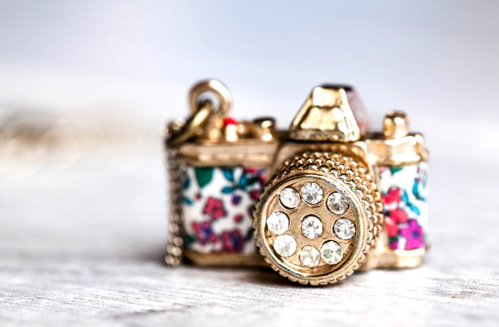 jewelery, camera with zirconium in beautiful flowers on a gray background